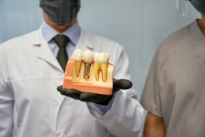 Dental technicians presenting a model of artificial tooth implant